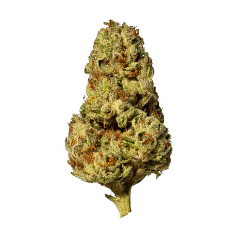 Blueberry Cheesecake Strain