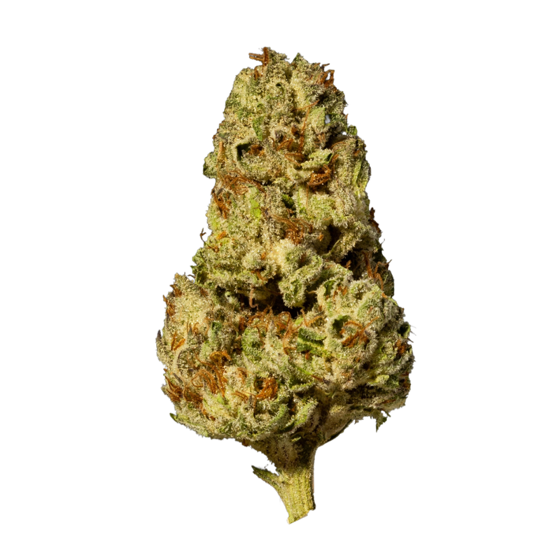 Blueberry Cheesecake