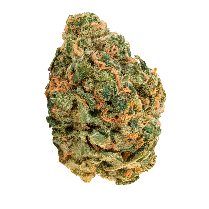 OG Lime Kush