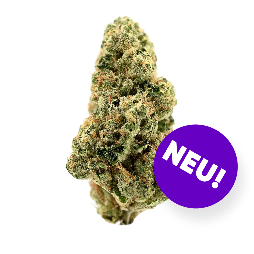 Demecan GT Strong Drop 27:01