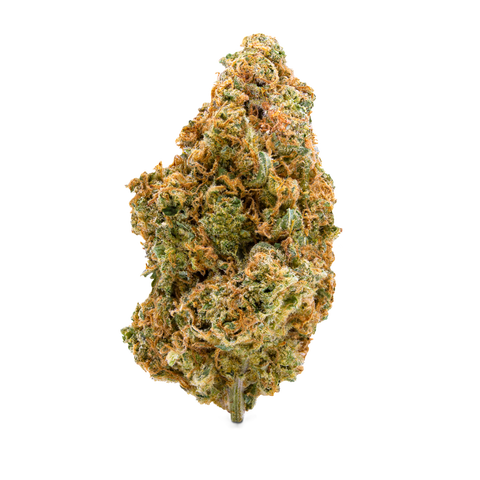 Stardawg Strain