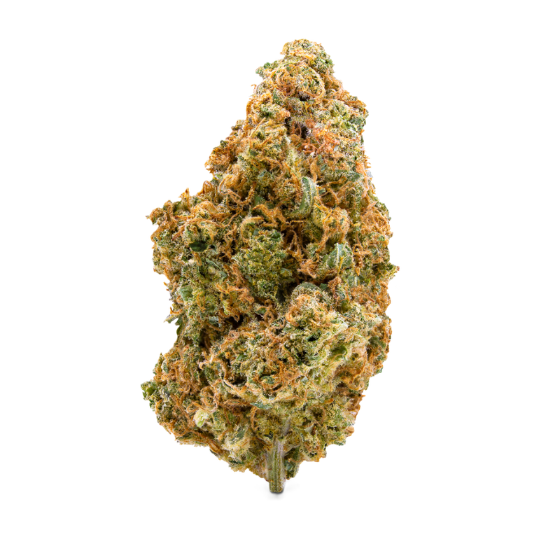 Stardawg