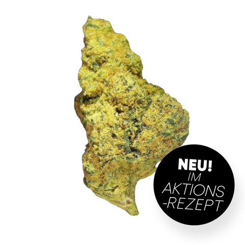 Space Cake Strain