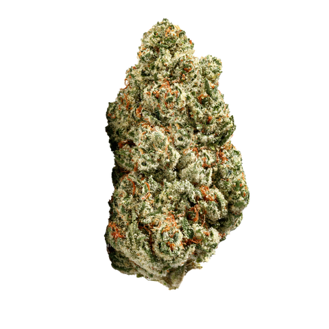 Motorgas Strain