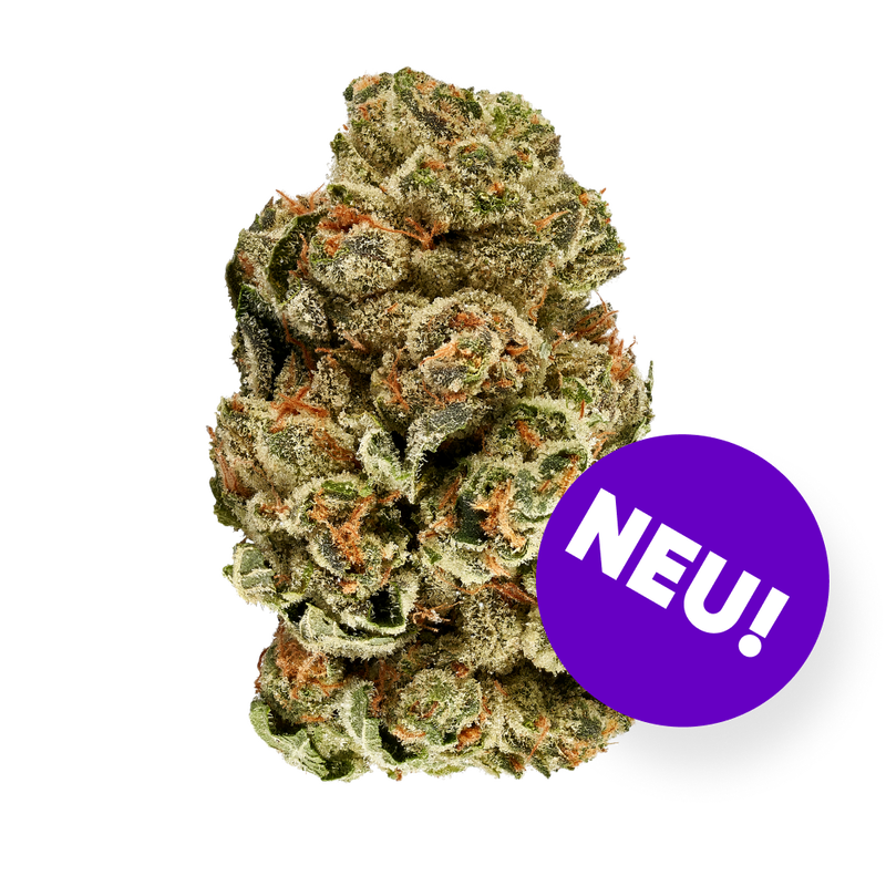 Cookies Oz