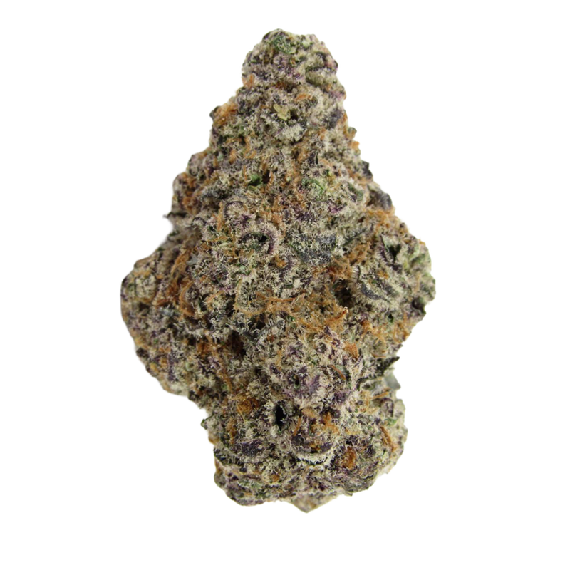 Glitter Bomb