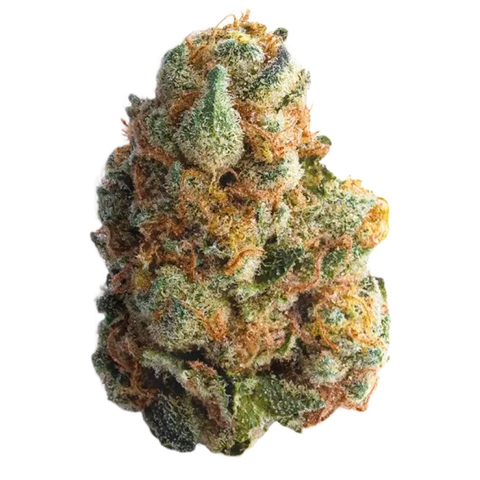 Garlic Truffle Strain