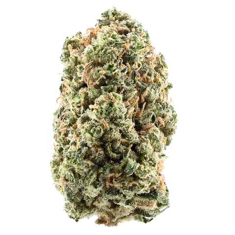 Siggis Holunderblüte Strain