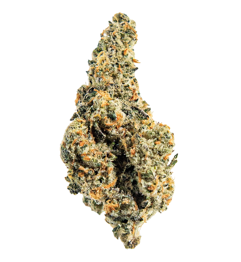 Tropical Meltdown Strain