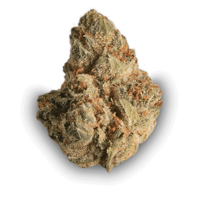 Tangie Chem