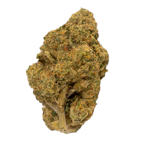 Noctura Light Pink Strain
