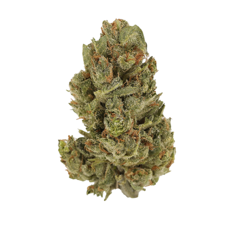 White Herer Strain