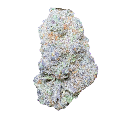 Rosay Strain