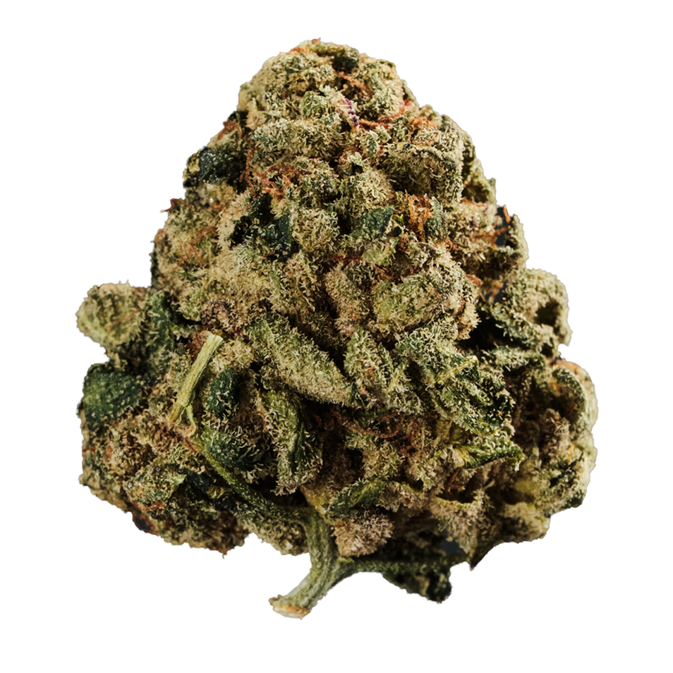 Curaleaf Natural 27/1 PT WPT