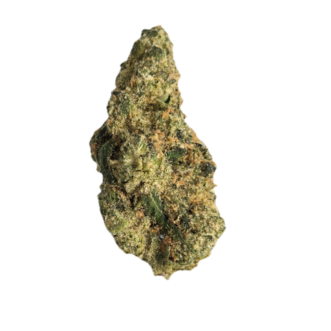 Snow Lotus Strain