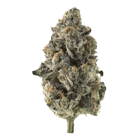 Cream Cake 22 Strain