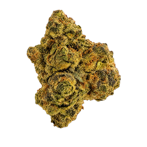 GMOSI Strain
