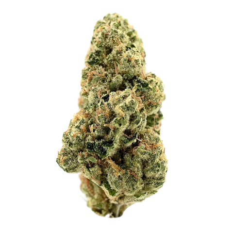 Girl Scout Kush Strain
