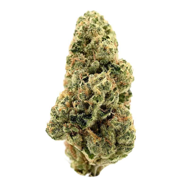 Girl Scout Kush