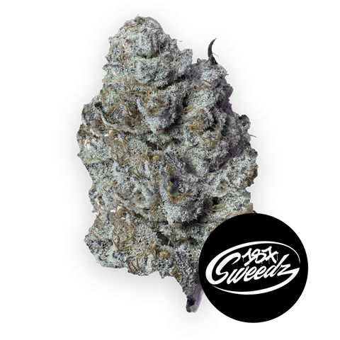 Biscotti Strain