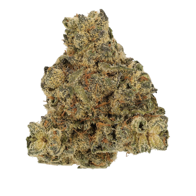 Orange Bud