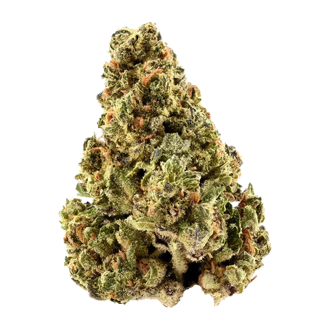 GMO Cookies X Kush Mintz Strain