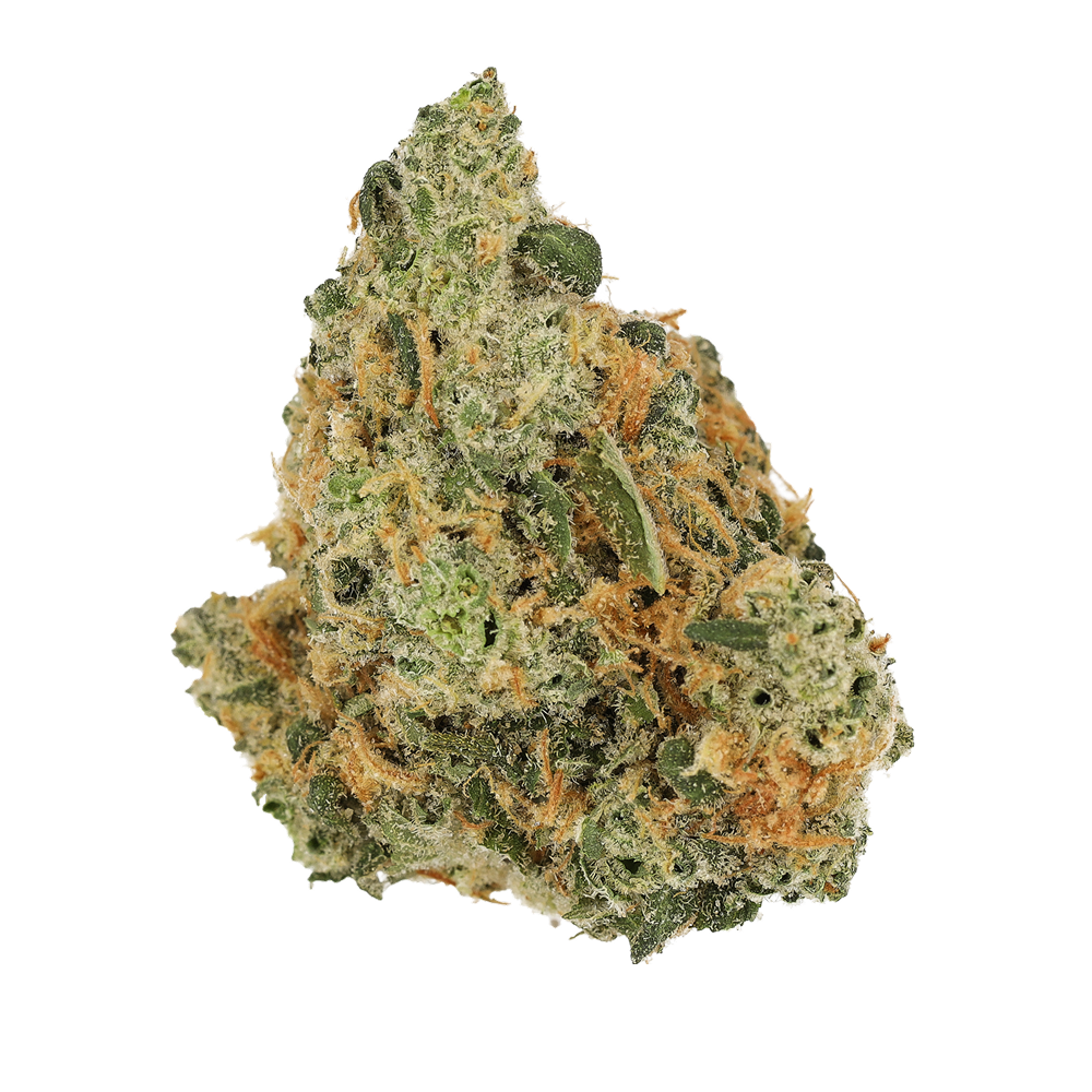 Cannamedical Hybrid Forte NM