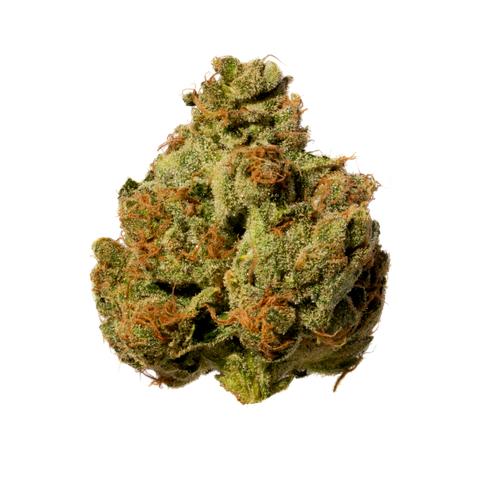 Cali Mint Cake Strain