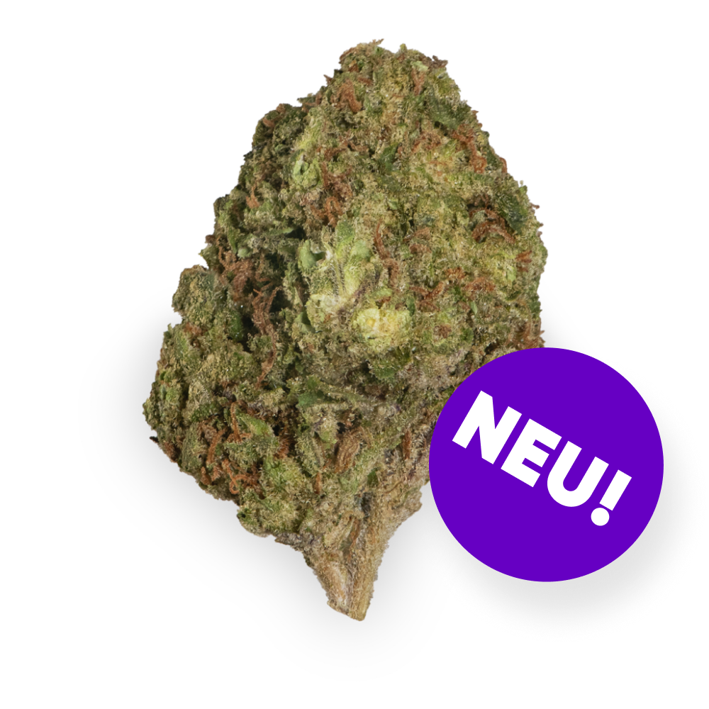 Care Cannabisflower CAG THC20