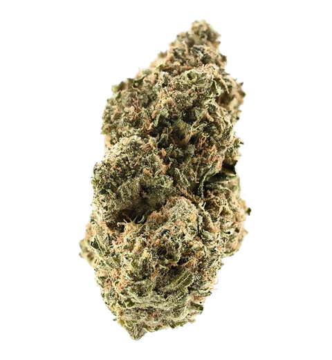 Critical 47 Strain