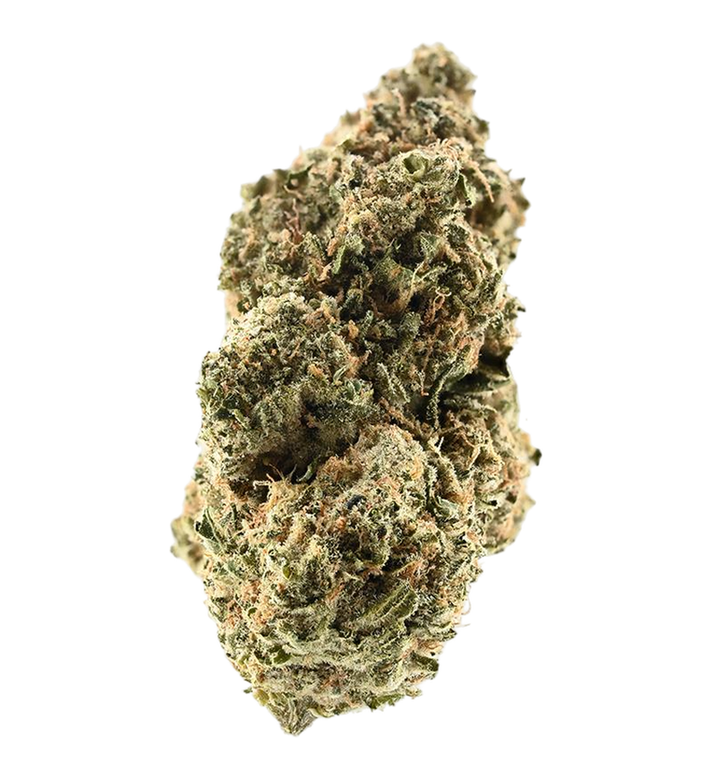Critical 47
