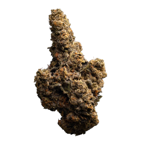 Gastro Pop Ultra Strain