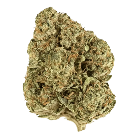 OG Kush Strain