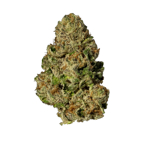 New Wavez Strain