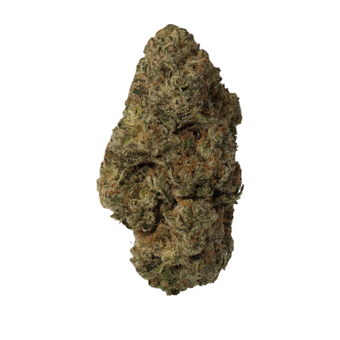 Bashengo Strain