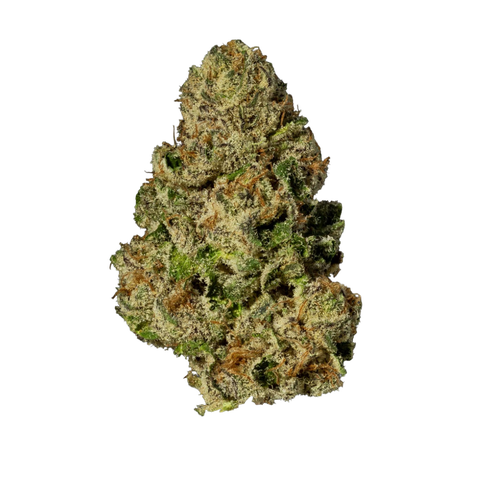 New Wavez Strain