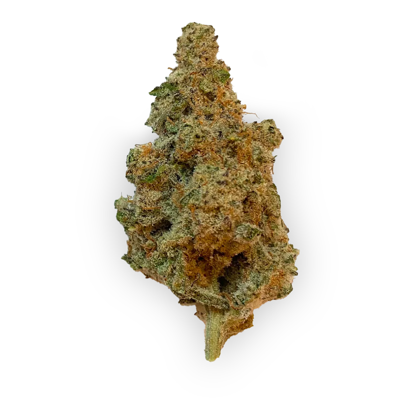 Afghan Kush