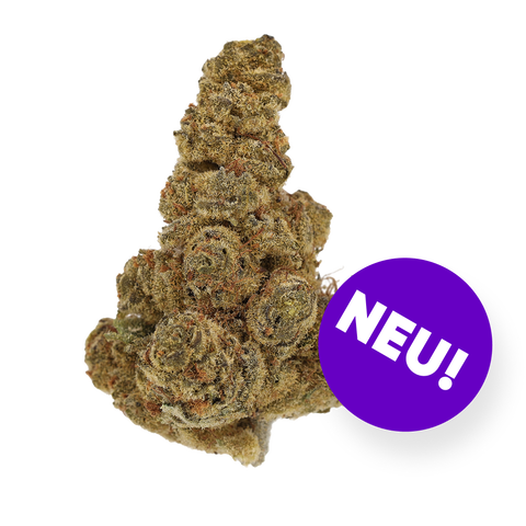 Mintwave Strain