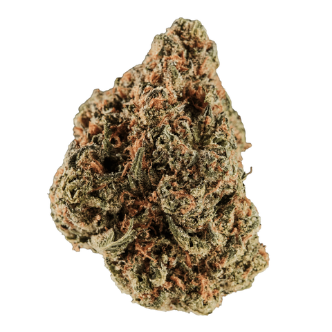 Cinderella Kush Strain