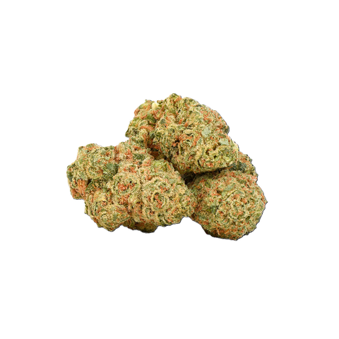 Durban Gorilla Strain