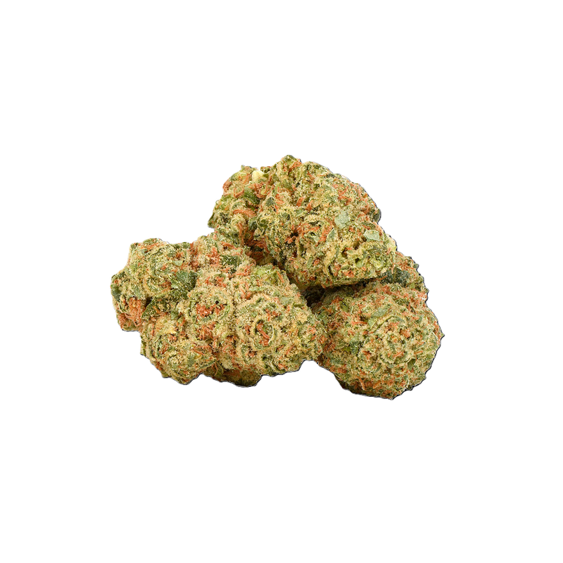 Durban Gorilla
