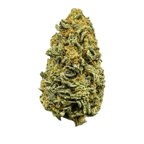 Sunset Sherbet Strain