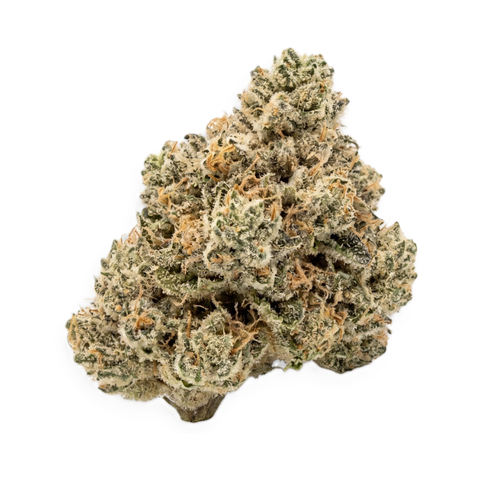 King´s Kush Strain