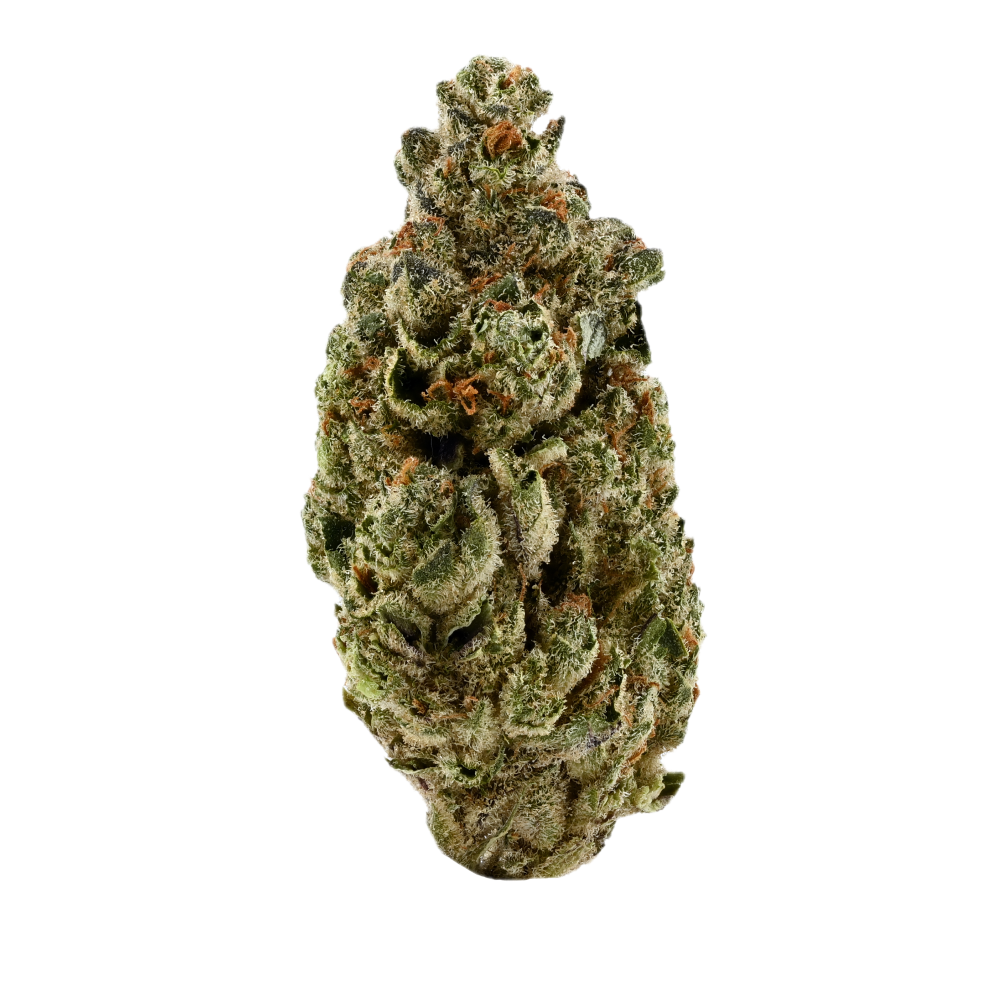 Demecan Regular Drop