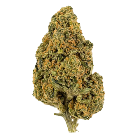 Capri Haze Strain