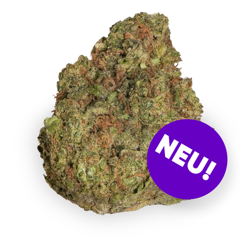 Lemon Bang Bang Strain