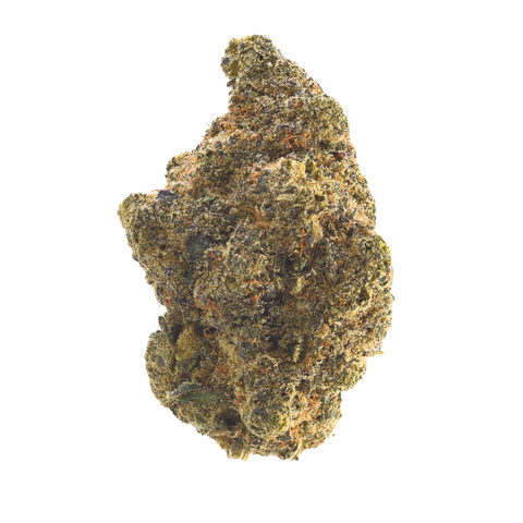 Gelato x Orange Cake Strain