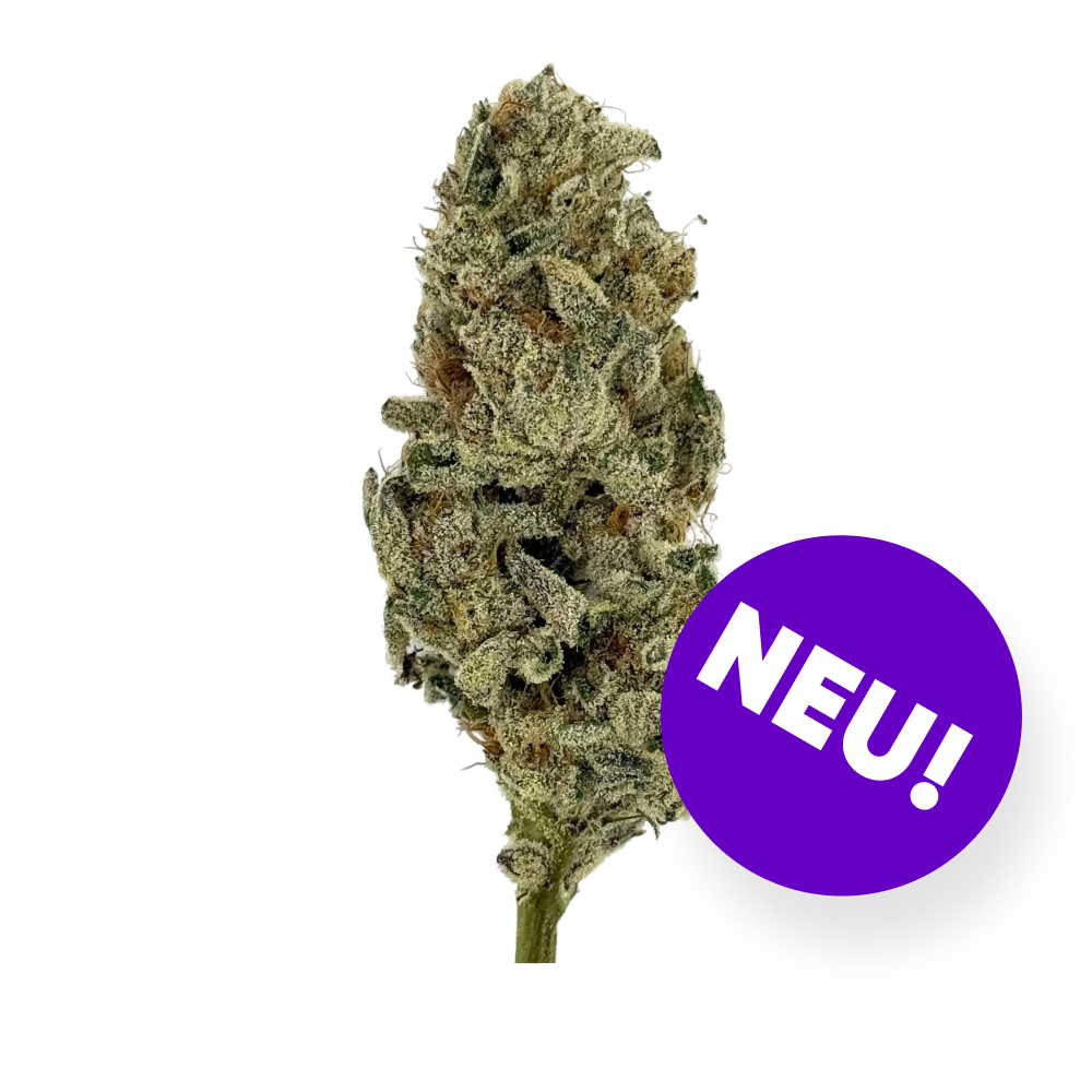 Breezy Crafted LA 25/1