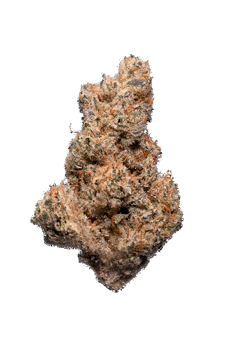 Slurricane Strain
