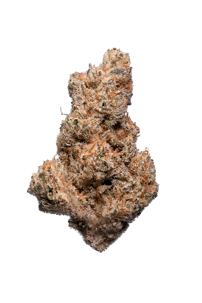 Slurricane